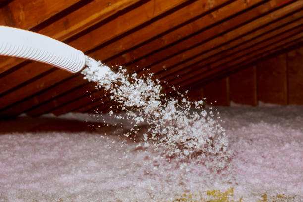 Best Cellulose Insulation in Waikele, HI
