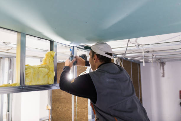 Types of Insulation We Offer in Waikele, HI